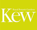 Kew Gardens